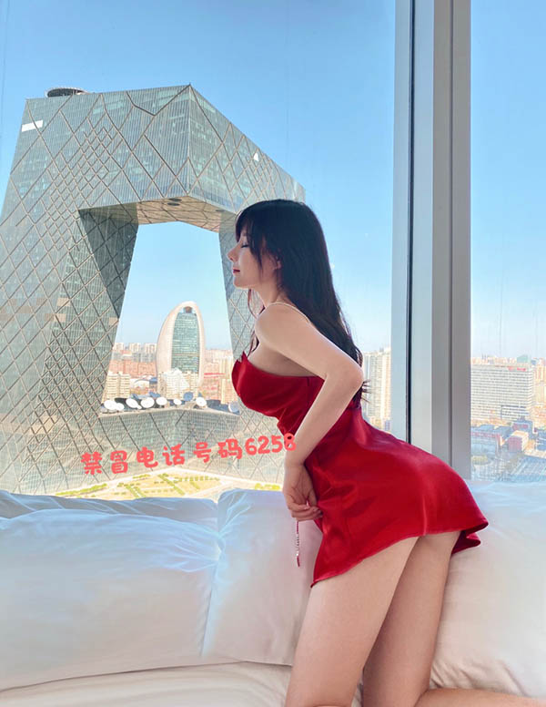 洛杉矶伴游服务